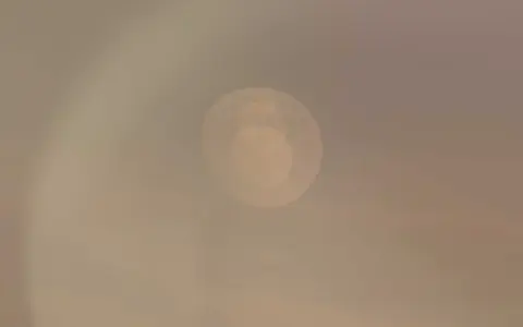 What does your Moonology Virgo Daily mean？ Get practical tips for today!