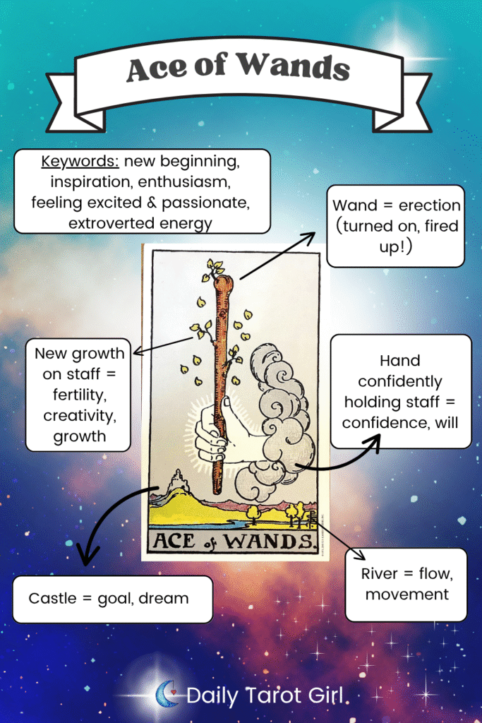 What does the As de Bastos Tarot Mean? (New beginnings and inspiration fully explained!)