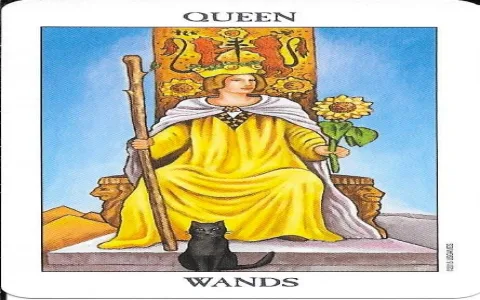 Reversed Queen tarot card： How to interpret its warning？