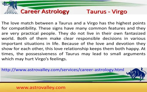 Taurus Zodiac and Virgo Compatibility： Friends Forever？