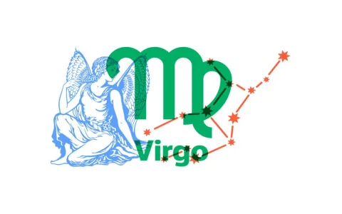 Typical Leo Virgo traits： How to manage their mix？