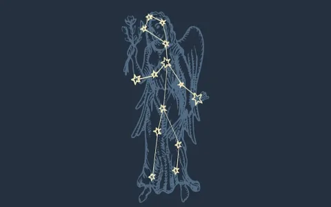 Gemini Sun man： Virgo Rising traits.