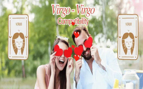 Understanding Your Virgo Love Interest： Best Compatibility Guide!