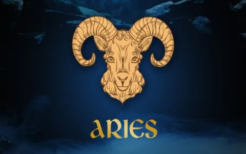 What Was the virgo career july 2018 Forecast？ (See How Well the Predictions Worked Out!)