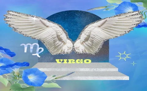 Virgo Career September 2021： Is Your Job Path Shifting？