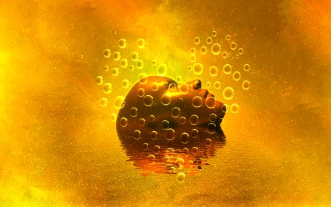 Understanding Virgo and Capricorn Aquarius Cusp： Can this pairing work？