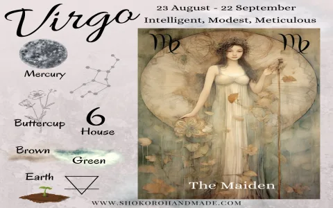 Your Virgo Horoscope August 2019 Career： Best Moves to Make!