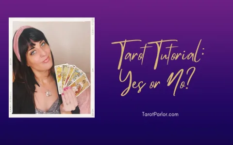 the best salem tarot y or n questions to ask for guidance