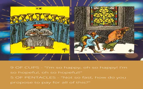 Nine of Pentacles Tarot： True meaning