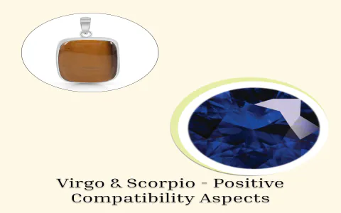 Finding Out the Virgo and Scorpio Friendship Compatibility Percentage for You