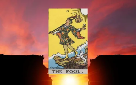 Tarot card fool and career decisions (What is this card telling you?)