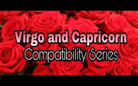 Virgo and Capricorn Friendship Compatibility： How to make it last!