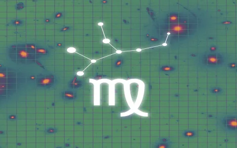 Virgo Behavior Traits (What defines them？)